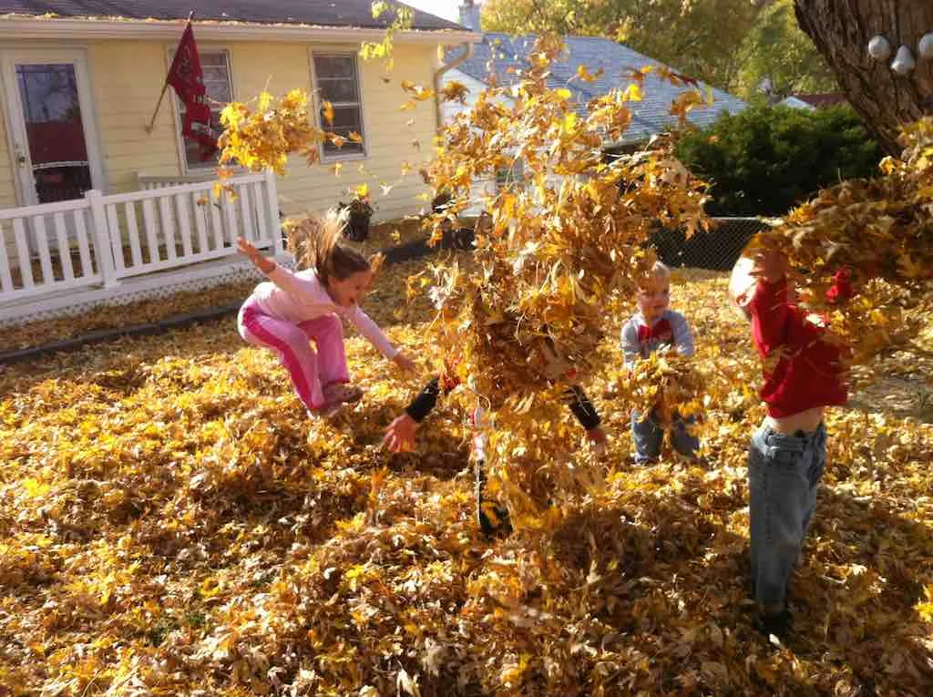 In Fall Leaves