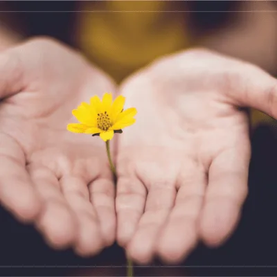 always-hope