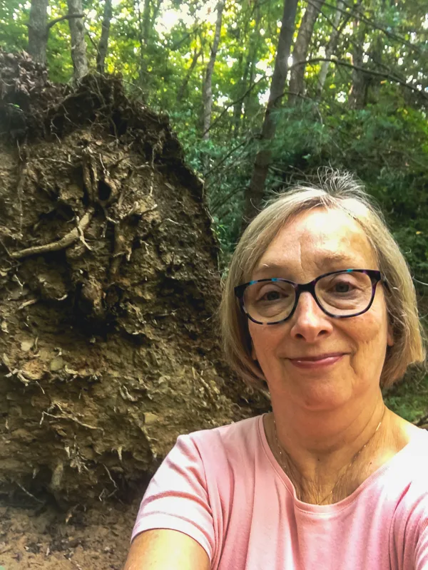 If_a_tree_falls_in_a_forest