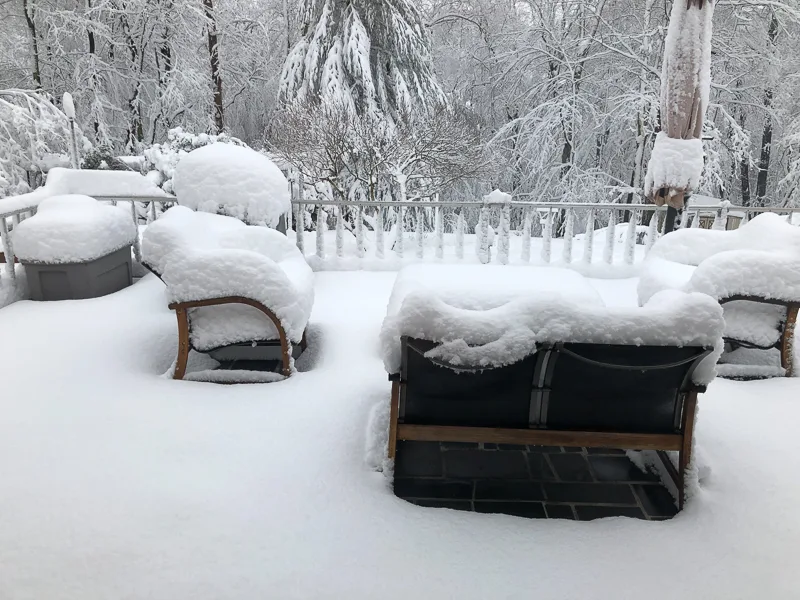 virginia_snow_2022