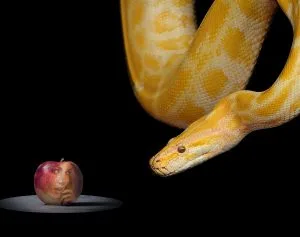 Serpent in the garden of Eden tempting Eve.