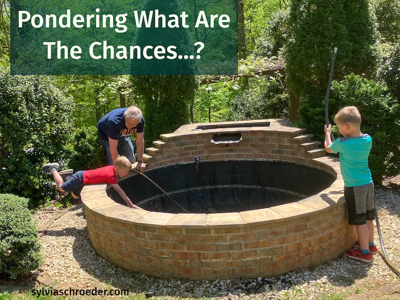Boy leaning over wall into a pond. Pondering what are the chances he could fall in?