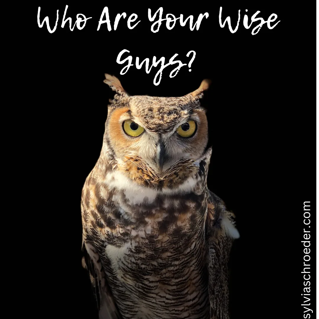 Who Are Your Wise Guys
