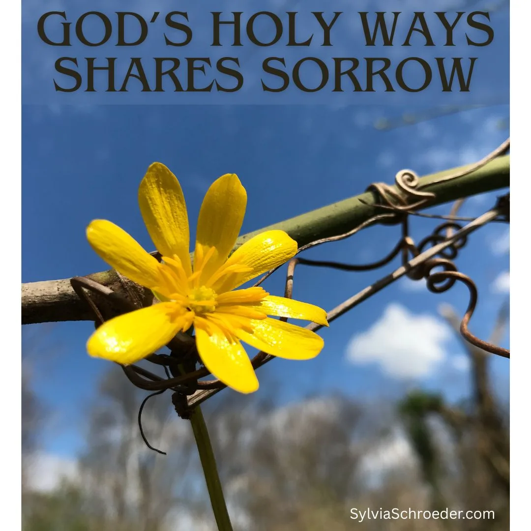 Gods Holy Ways