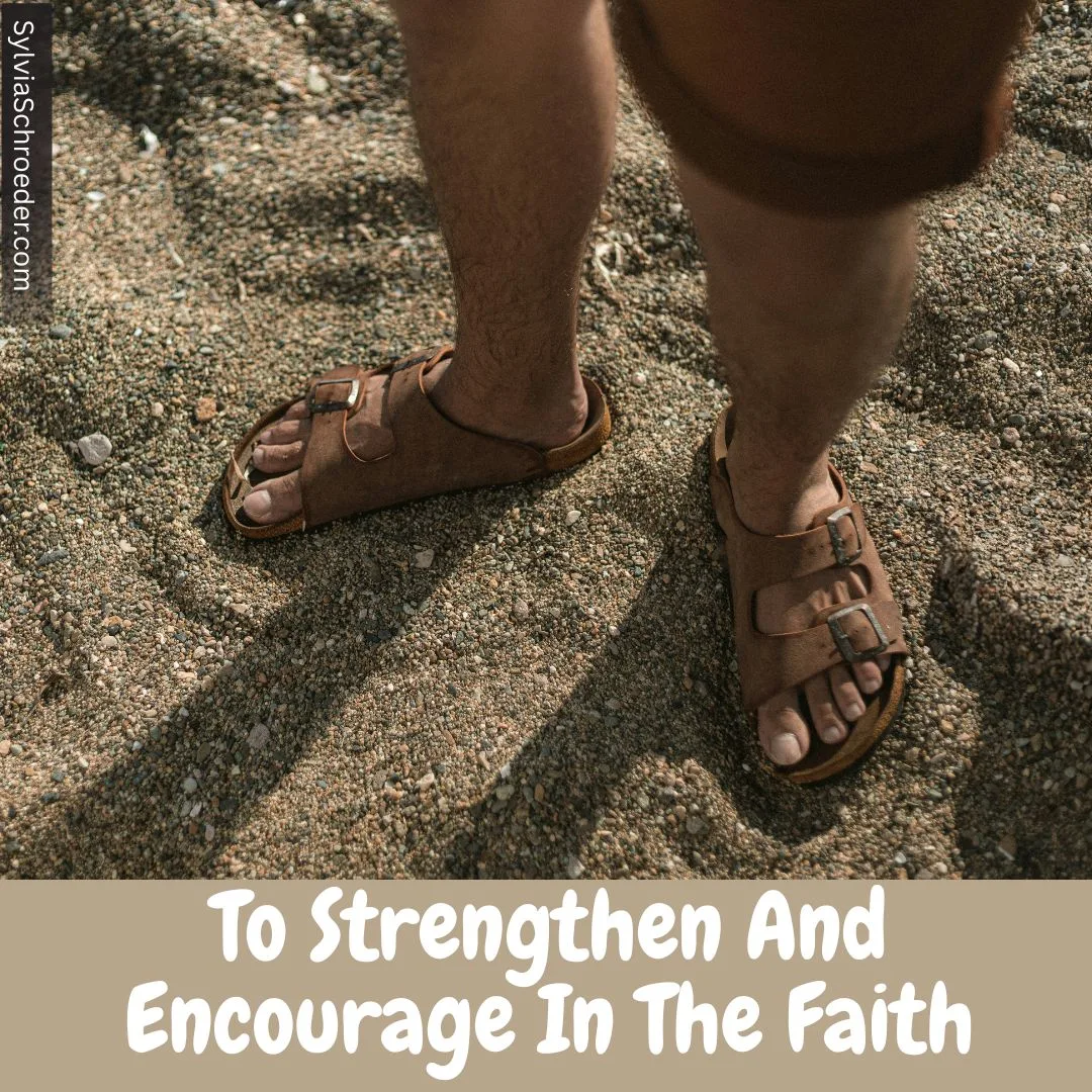 Sandals in the sand