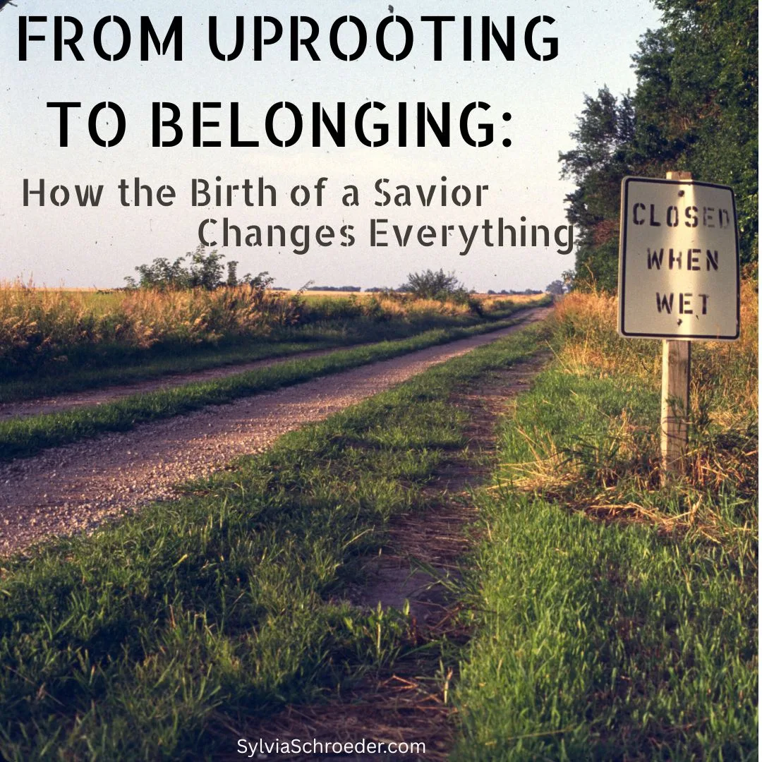 From Uprooting to Belonging How the Birth of a Savior Changes Everything.