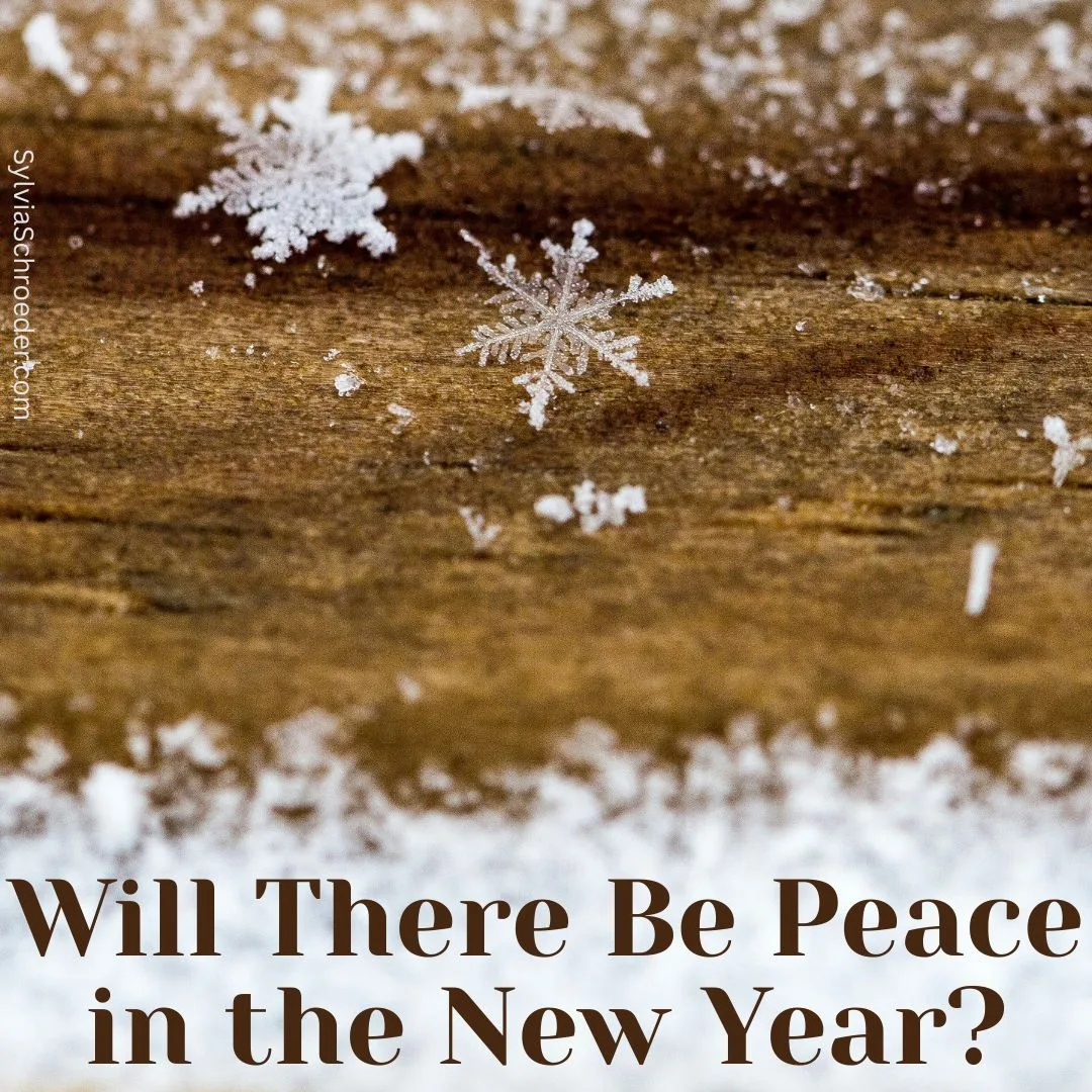 Will There Be Peace in the New Year