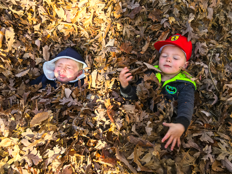 Boys playing in a pile of leaves