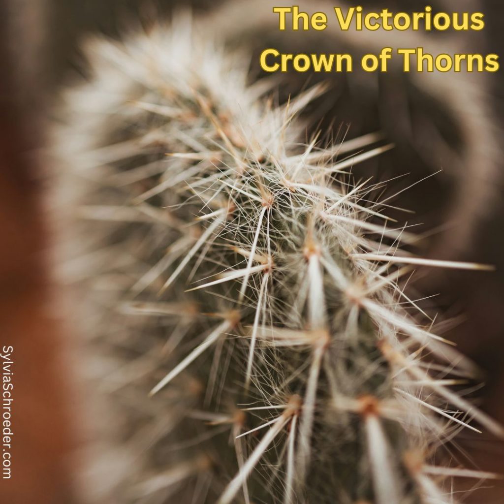 The Victorious Crown of Thorns - When the House is QuietWhen the House ...