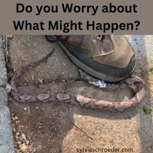 copperhead under the trash