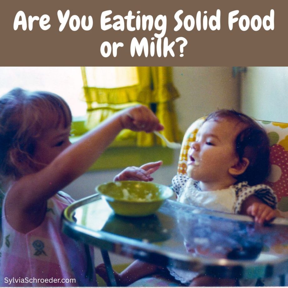 Young child feeding baby sister in a high chair.