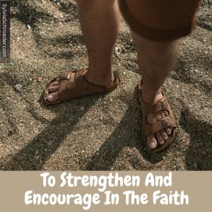 Sandals in the sand