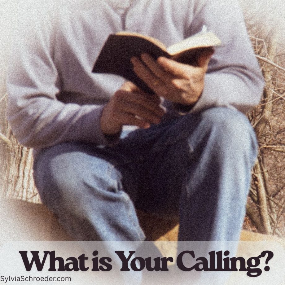 older man reading a Bible sitting on a log.